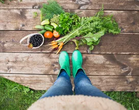 Vegetables